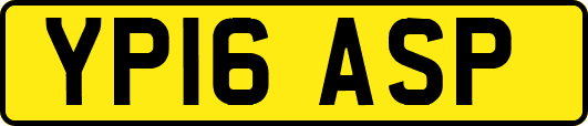 YP16ASP