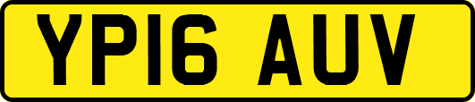 YP16AUV