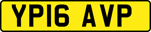 YP16AVP