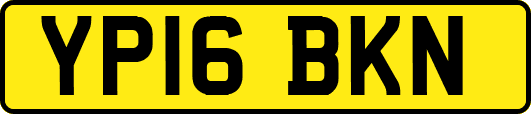 YP16BKN