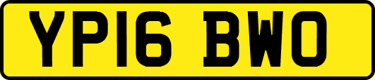 YP16BWO