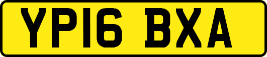 YP16BXA