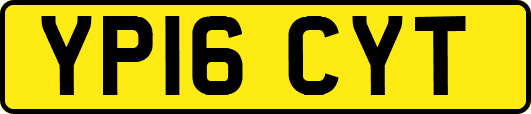 YP16CYT