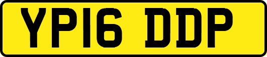 YP16DDP