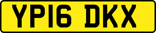 YP16DKX