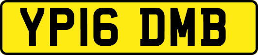 YP16DMB