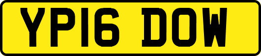 YP16DOW