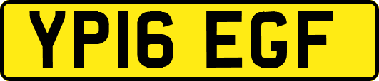 YP16EGF