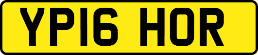 YP16HOR