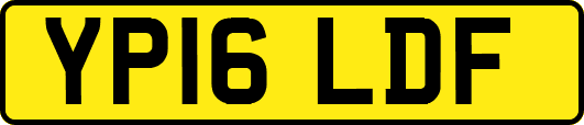 YP16LDF