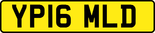 YP16MLD