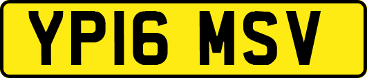 YP16MSV