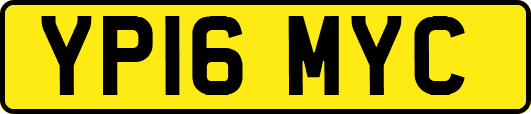 YP16MYC
