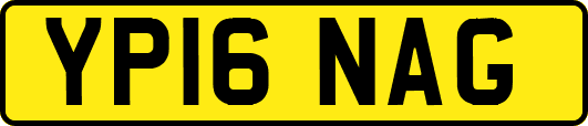 YP16NAG