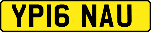 YP16NAU