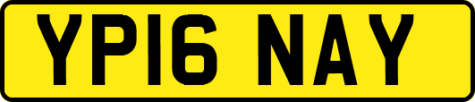 YP16NAY