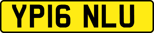 YP16NLU