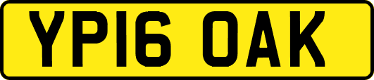 YP16OAK
