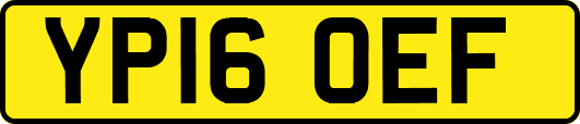 YP16OEF