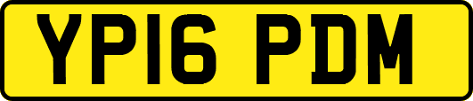 YP16PDM