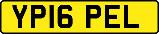 YP16PEL