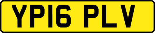 YP16PLV