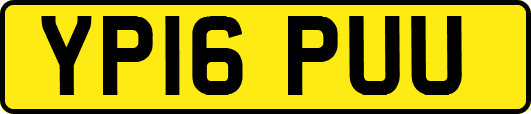 YP16PUU