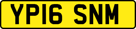 YP16SNM