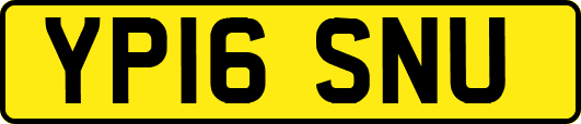 YP16SNU