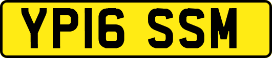 YP16SSM