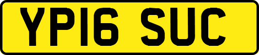 YP16SUC