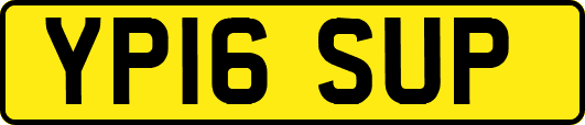 YP16SUP