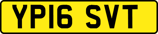 YP16SVT