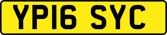 YP16SYC