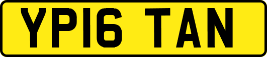 YP16TAN