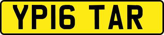 YP16TAR