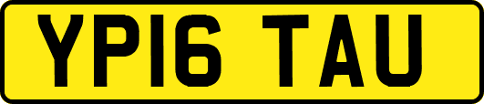 YP16TAU