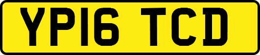 YP16TCD