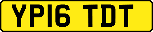 YP16TDT