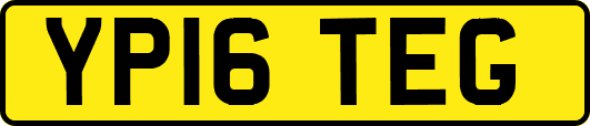 YP16TEG