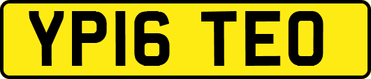 YP16TEO