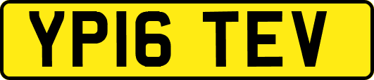 YP16TEV