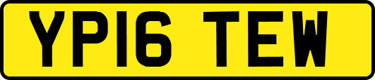 YP16TEW