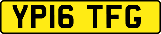 YP16TFG