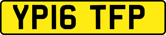 YP16TFP