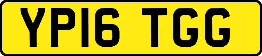 YP16TGG