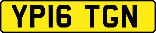 YP16TGN