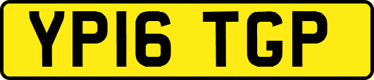 YP16TGP