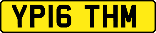 YP16THM