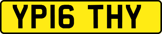 YP16THY